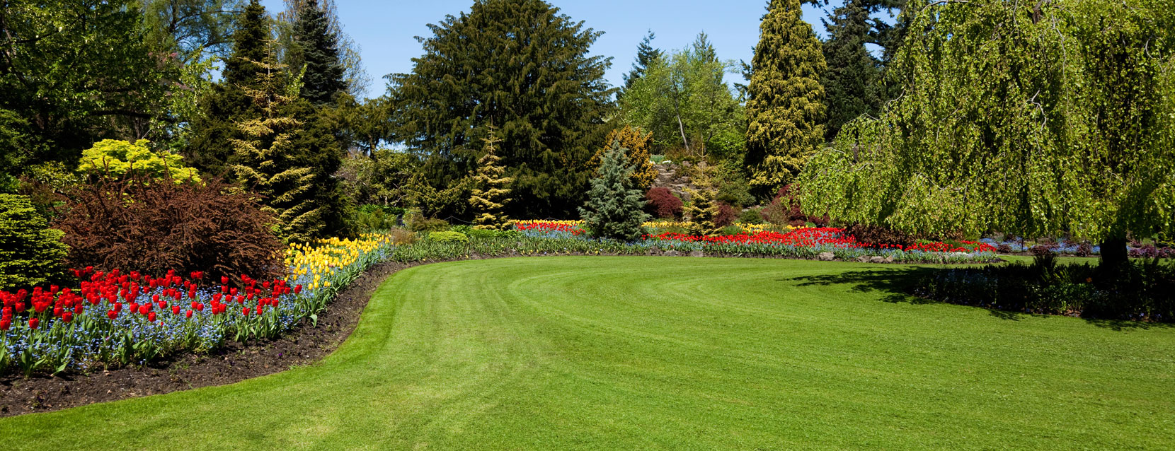 Legendary Lawn Care Maintenance, Commercial & Residential