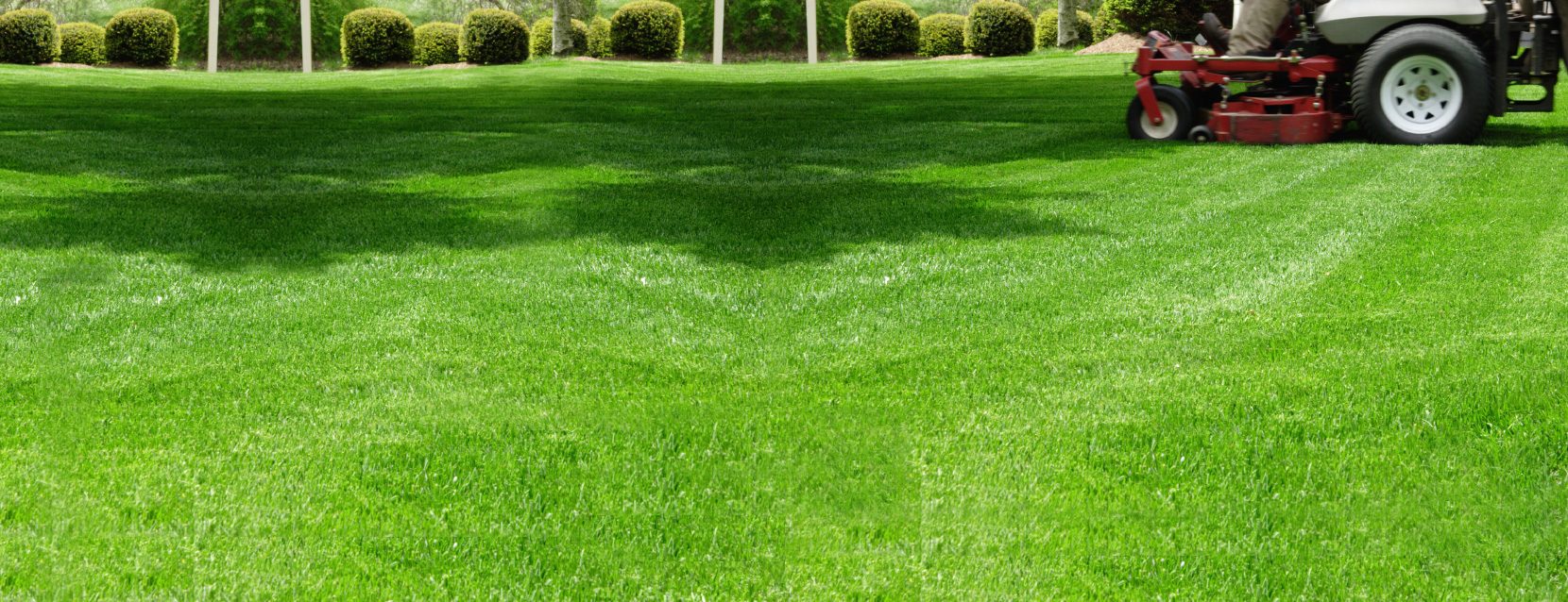 Prime Cut Lawncare, Inc.